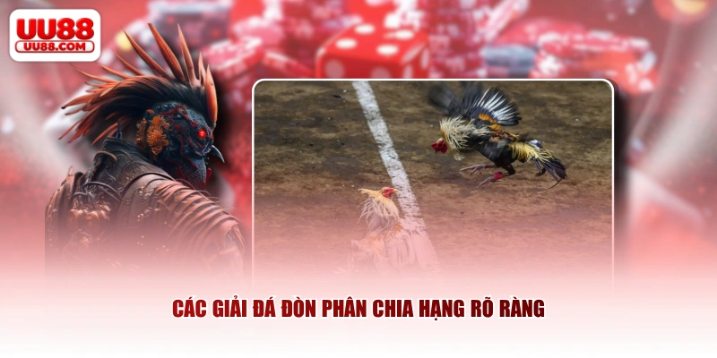 Các giải đá đòn phân chia hạng rõ ràng