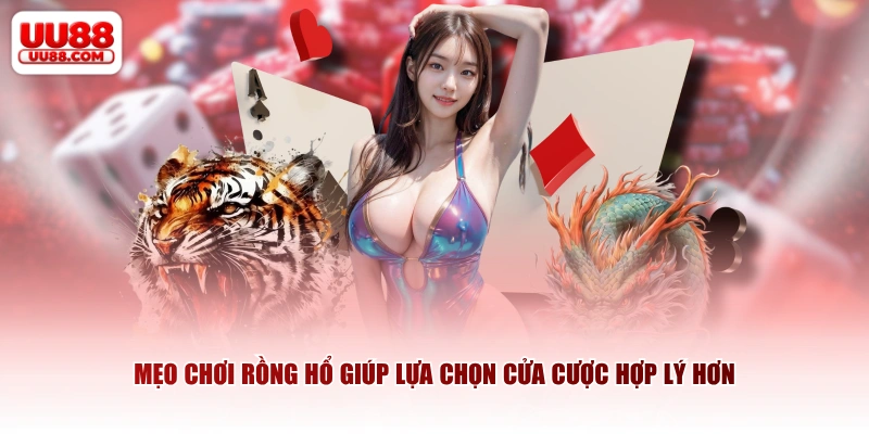 Mẹo chơi rồng hổ giúp lựa chọn cửa cược hợp lý hơn
