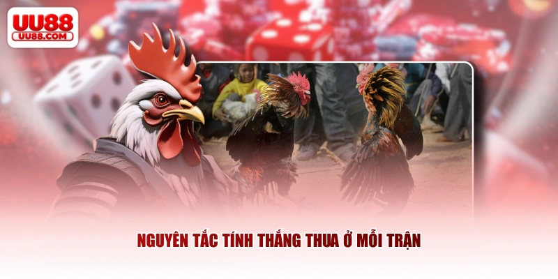 Nguyên tắc tính thắng thua ở mỗi trận