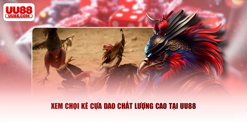 Xem chọi kê cựa dao chất lượng cao tại UU88