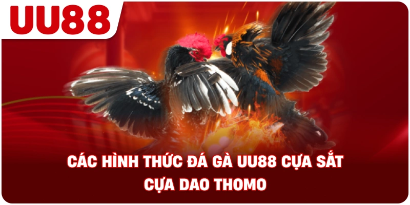 cac_hinh_thuc_da_ga_uu88_cua_sat_cua_dao_thomo