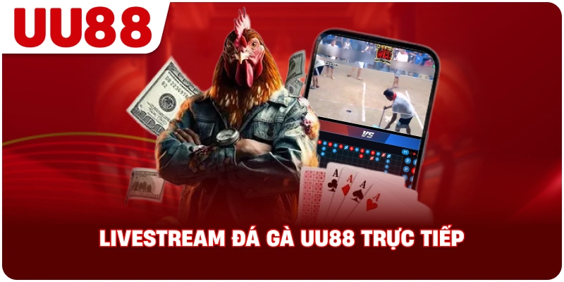 livestream_da_ga_uu88_truc_tiep